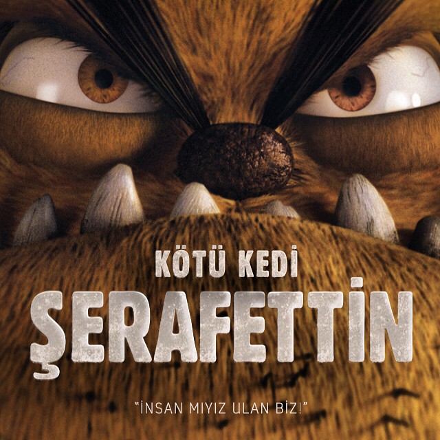 Kötü Kedi Şerafettin (Teaser) Yeni Yeni