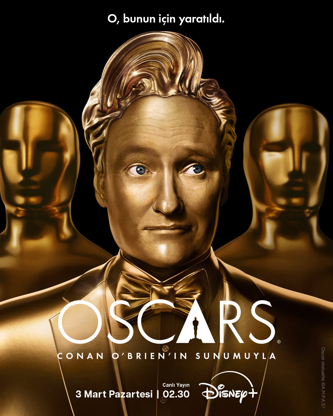 The Oscars® (Türkiye)